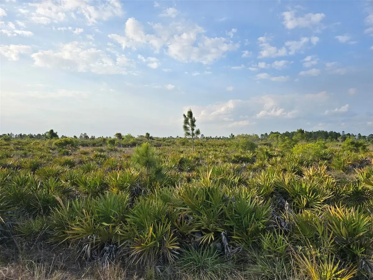 49173 Bermont Road, Punta Gorda, FL 33982 - #1