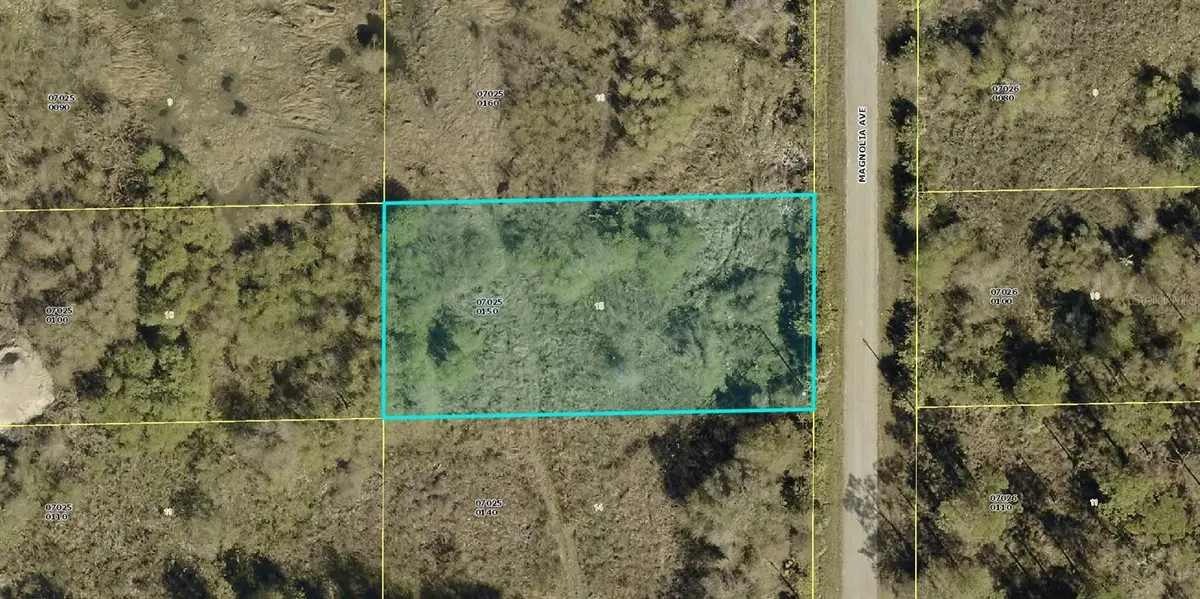 1405 Magnolia Avenue, Lehigh Acres, FL 33972 - #1