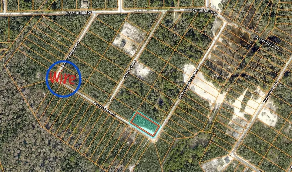 20122 Medicine Stone #10 Drive, Webster, FL 33597 - #1
