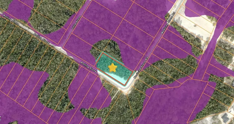 20122 Medicine Stone #10 Drive, Webster, FL 33597 - #3