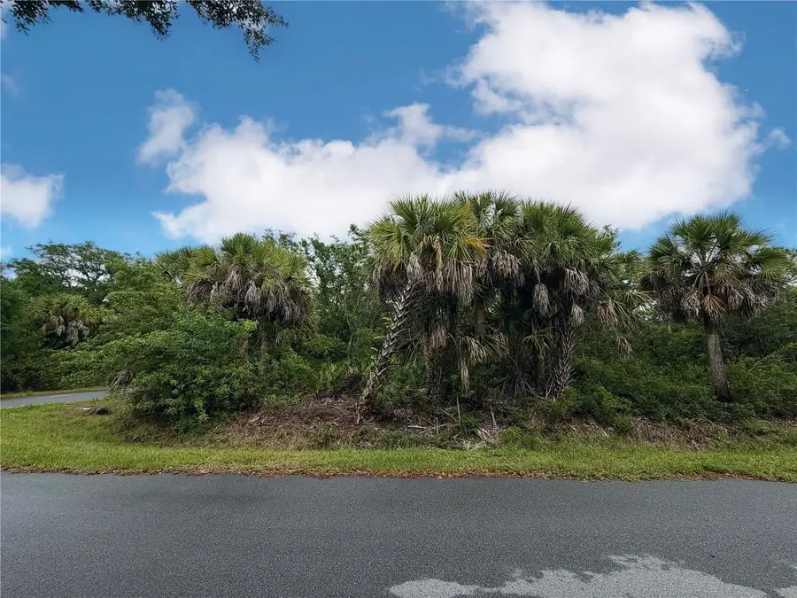 18039 Savage Avenue, Port Charlotte, FL 33948 - #3