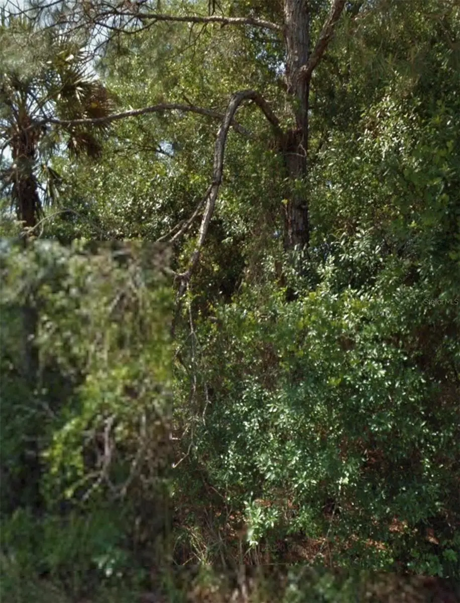 Ohio Road, North Port, FL 34291 - #1