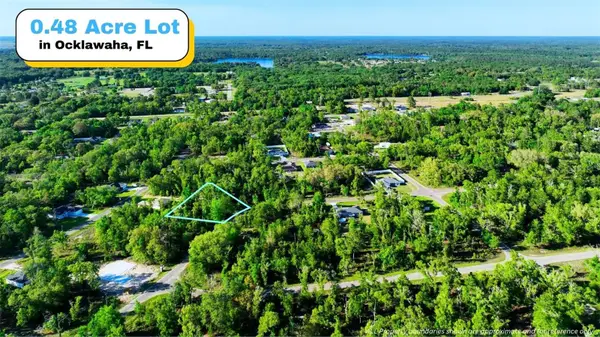TBD Fisher Ln Way, OCKLAWAHA, FL 32179