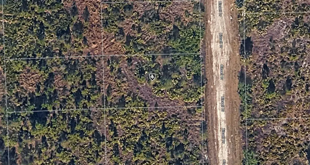13237 Bissell Drive, Punta Gorda, FL 33955 - #1