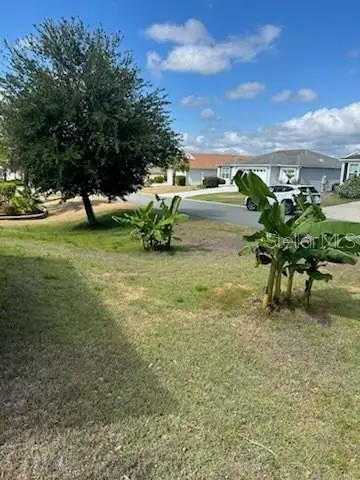 3074 Brine Way, The Villages, FL 32163 - #2