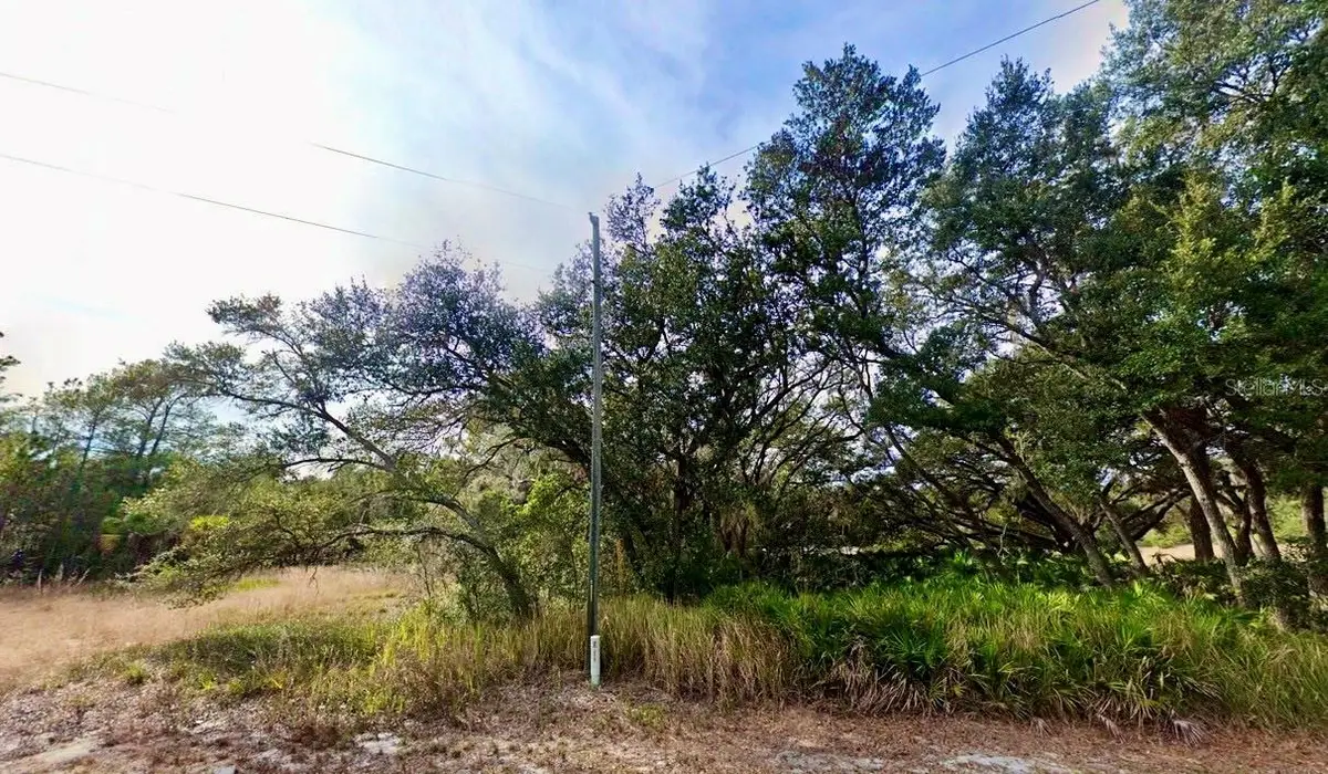 175 Fisher Ln Court, Ocklawaha, FL 32179 - #1