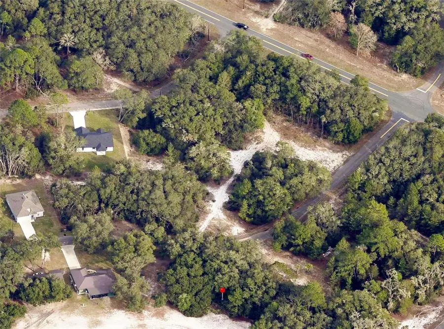 175 Fisher Ln Court, Ocklawaha, FL 32179 - #2