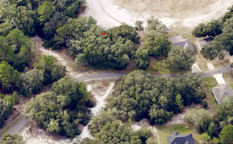 175 Fisher Ln Court, Ocklawaha, FL 32179 - #3