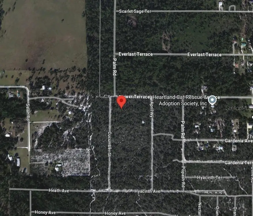 5306 Cucumber Street, Sebring, FL 33875 - #1