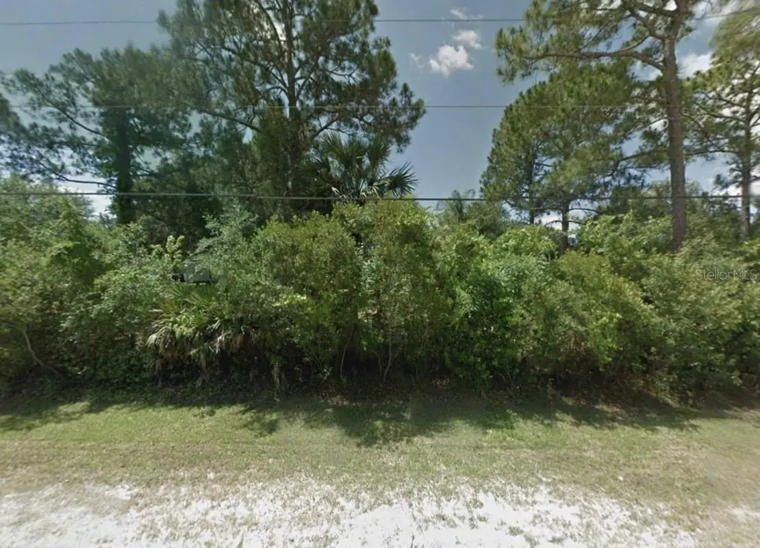 2205 Blue Fish Place, Geneva, FL 32732 - #1