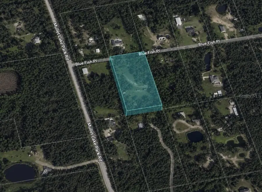 2205 Blue Fish Place, Geneva, FL 32732 - #2