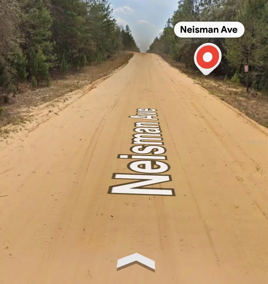 Neisman, Interlachen, FL 32148 - #2