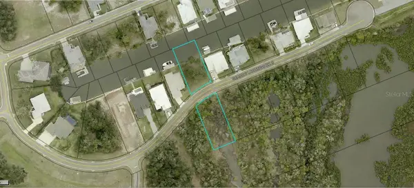 223 Seaside Landings Drive S, FLAGLER BEACH, FL 32136