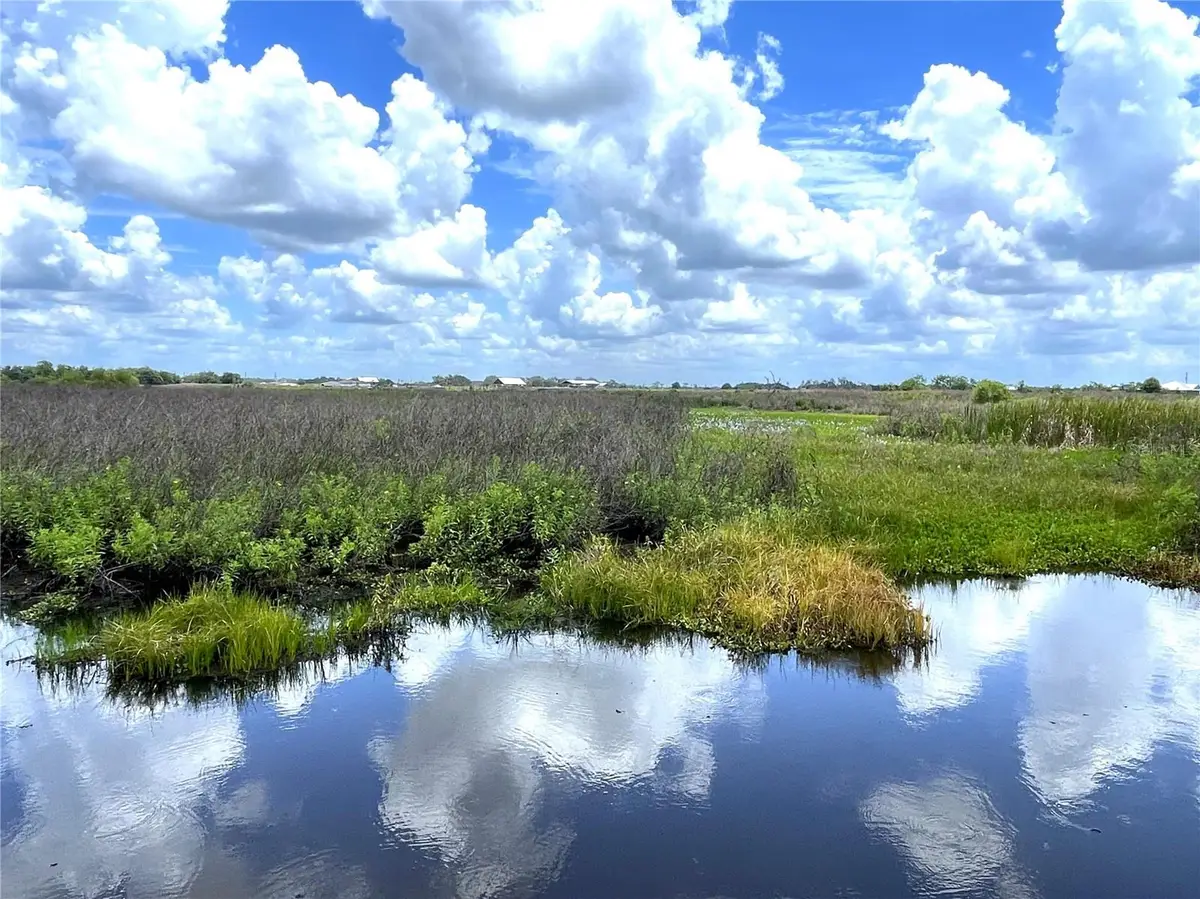 Wauchula Road, Myakka City, FL 34251 - #1