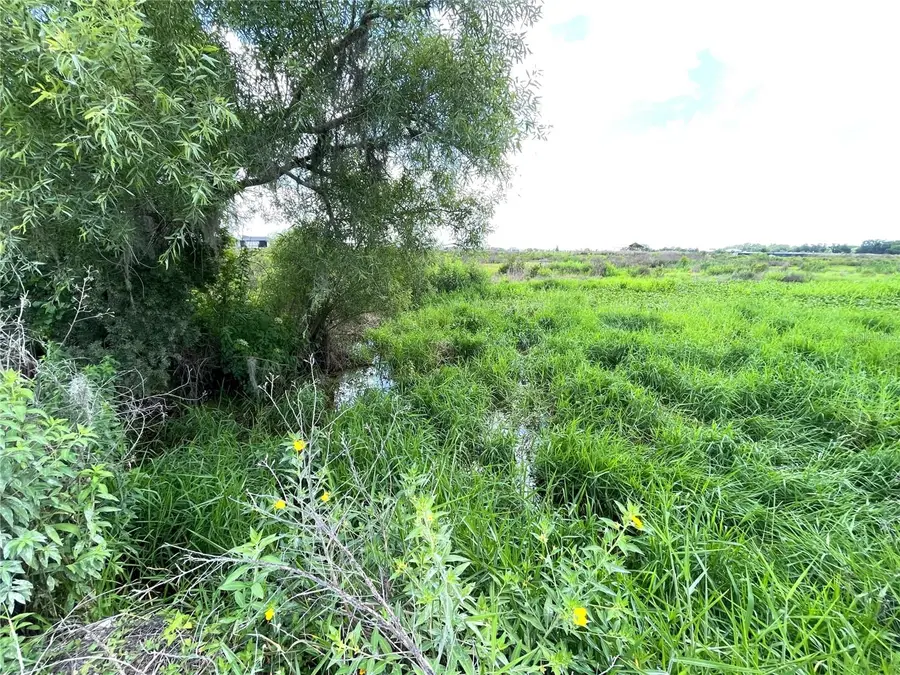 Wauchula Road, Myakka City, FL 34251 - #2