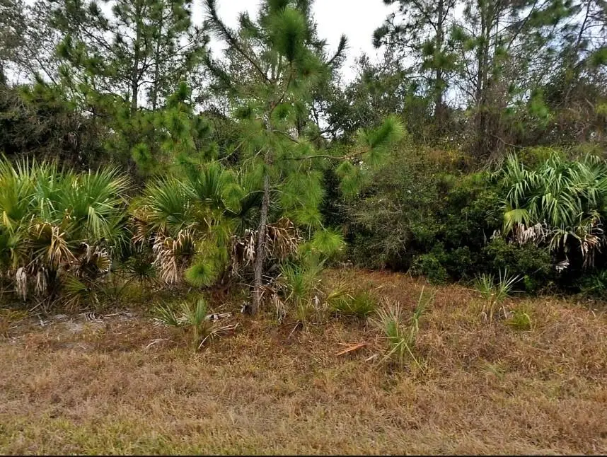 Van Leer Avenue, North Port, FL 34288 - #1