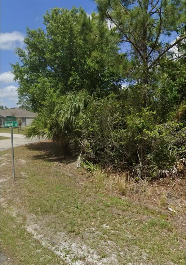 297 Tindal Street Sw, PALM BAY, FL 32908