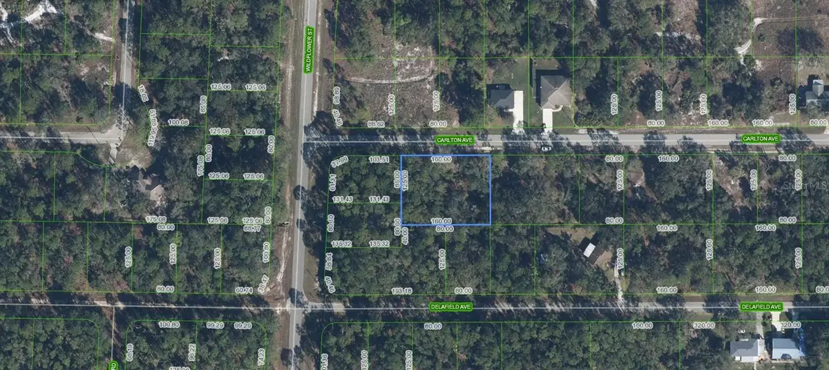 3154 Carlton Avenue, Lake Placid, FL 33852 - #1