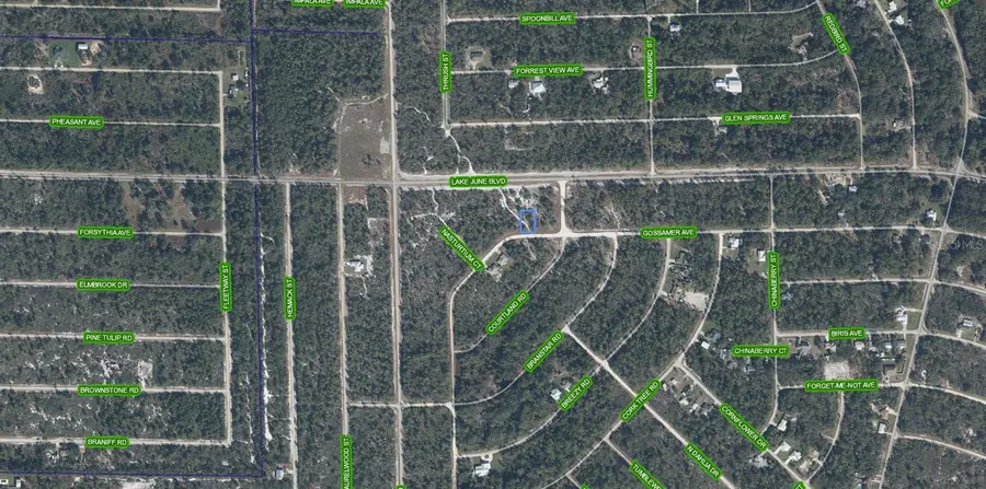 3324 Gossamer Avenue, Lake Placid, FL 33852 - #3