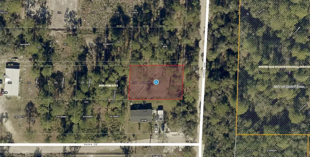 21-19-27-0100-000-20800 Sunrise Boulevard, Mount Dora, FL 32757 - #1