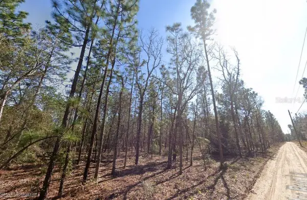 Hills Road, MELROSE, FL 32666