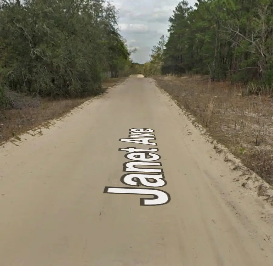 Janet Ave, Interlachen, FL 32148 - #2