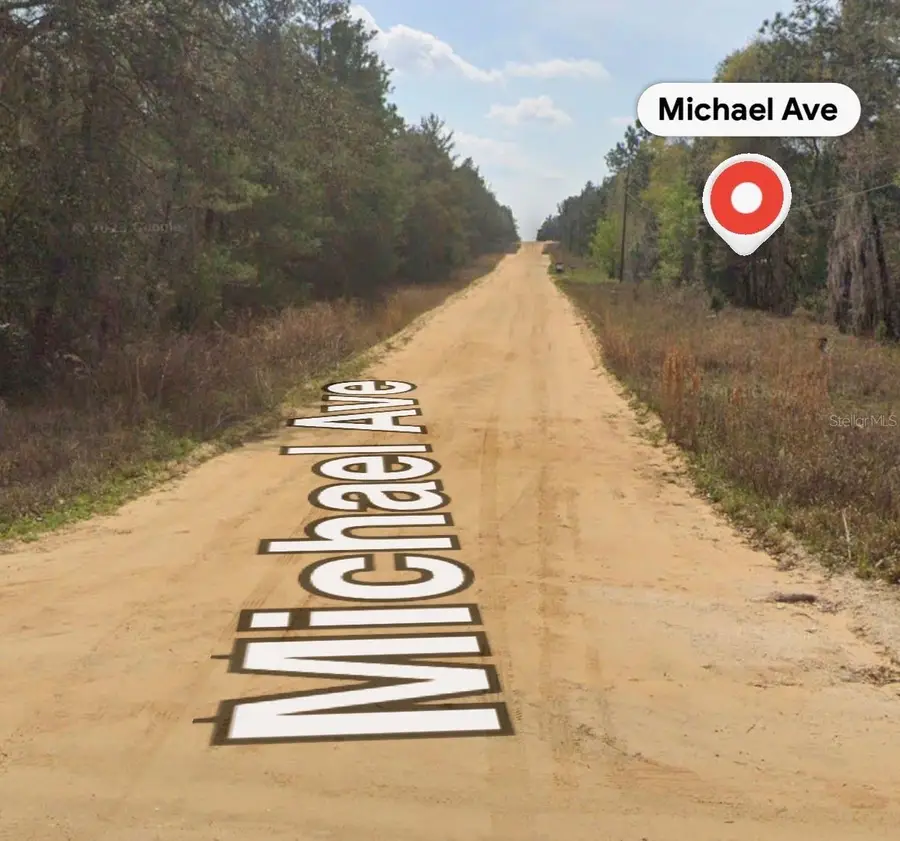 Michael Ave, Interlachen, FL 32148 - #2