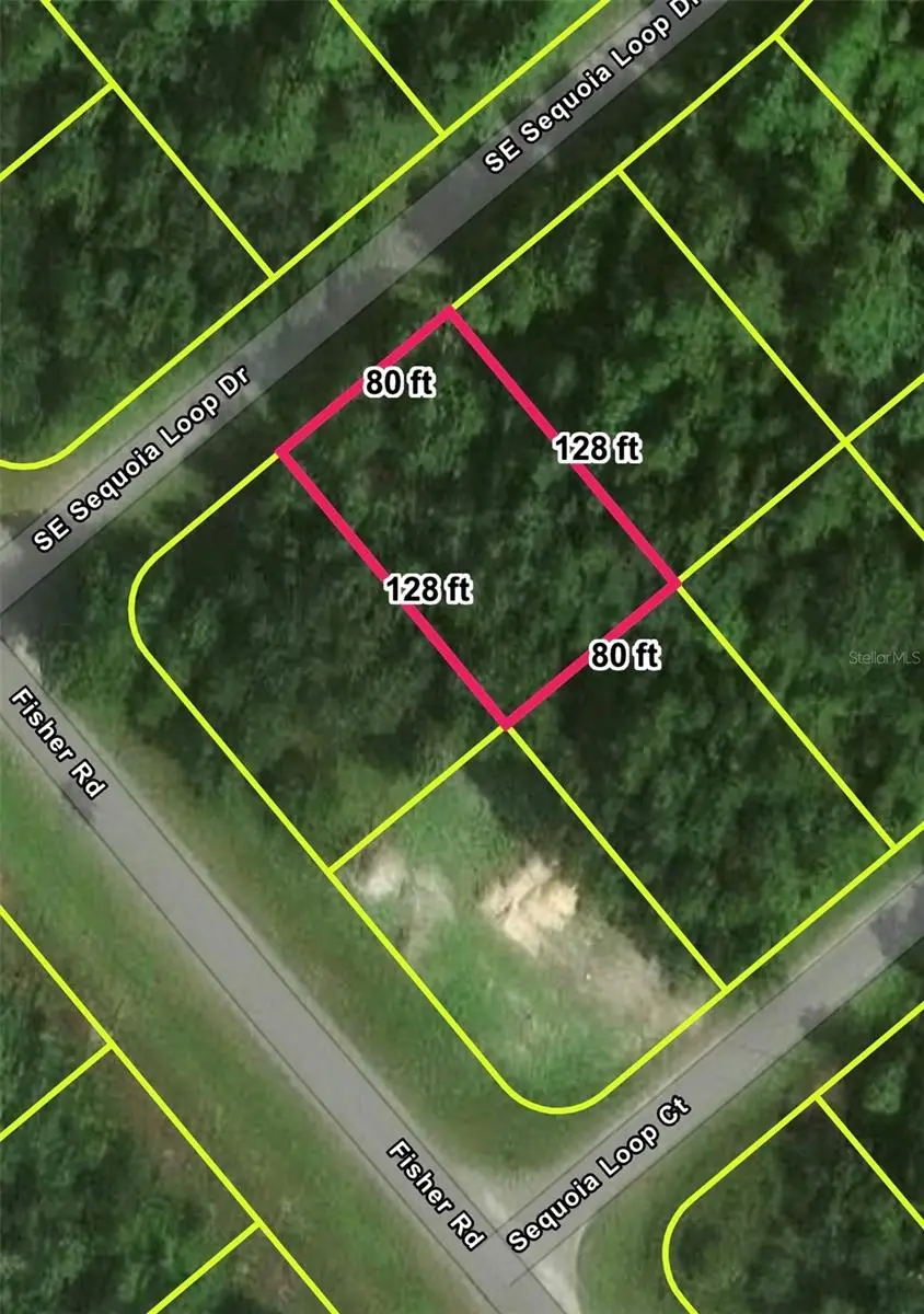 Lot 39 SE Sequoia Loop Drive, Ocklawaha, FL 32179 - #2