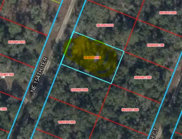 NE 154 Terrace, WILLISTON, FL 32696