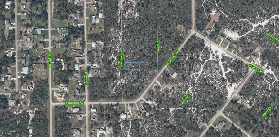 239 Sandpiper Street, Lake Placid, FL 33852 - #2