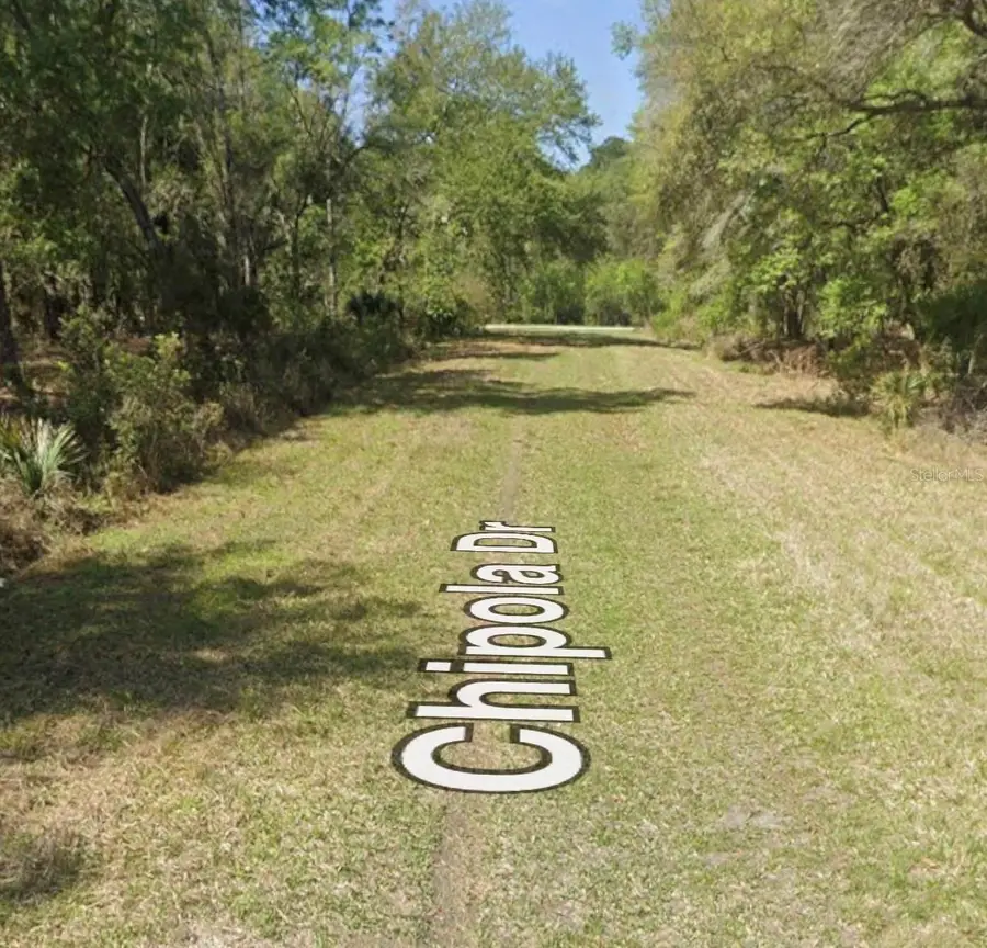 106 Chipola Drive, Georgetown, FL 32139 - #3