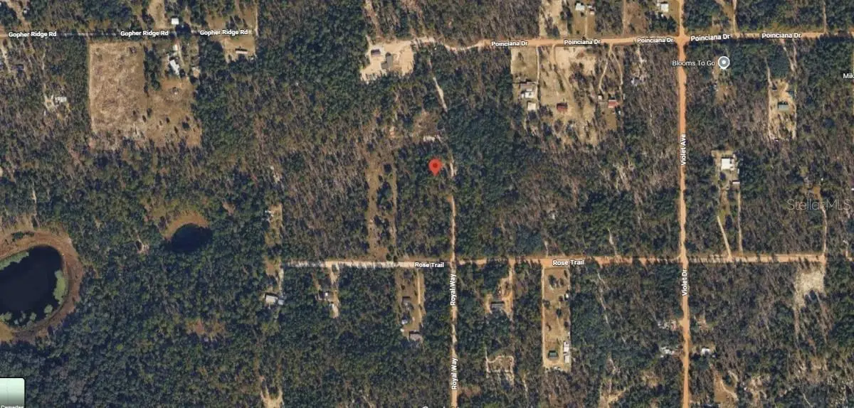 Royal Way, Interlachen, FL 32148 - #1