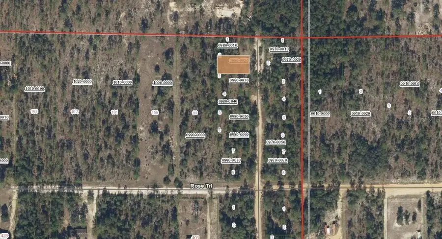 Royal Way, Interlachen, FL 32148 - #3