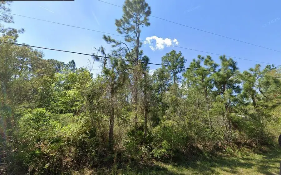 2834 Orange Blossom Street, Bunnell, FL 32110 - #2