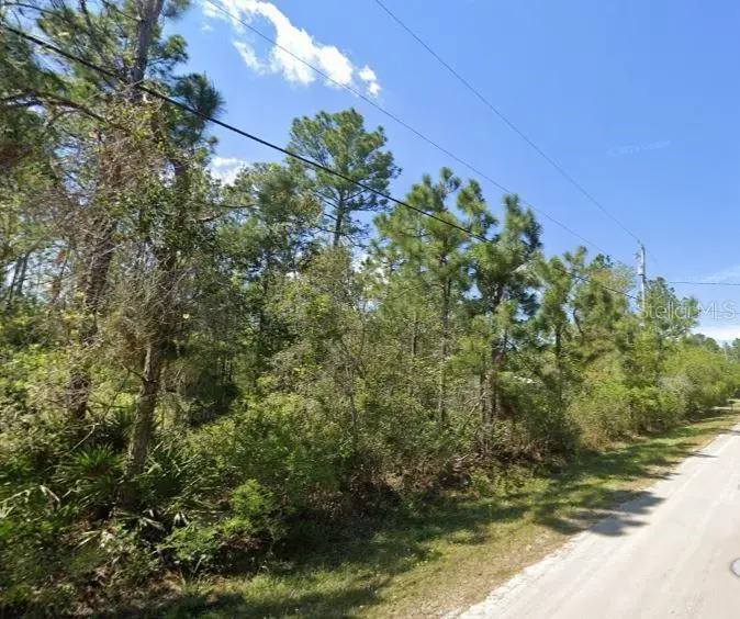 2834 Orange Blossom Street, Bunnell, FL 32110 - #3