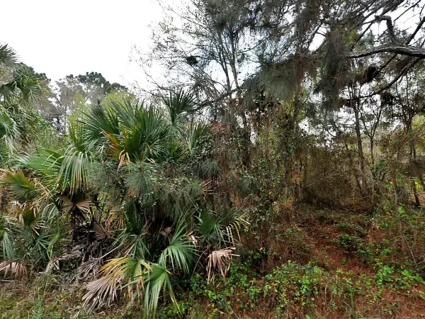 Henning Street, NORTH PORT, FL 34288