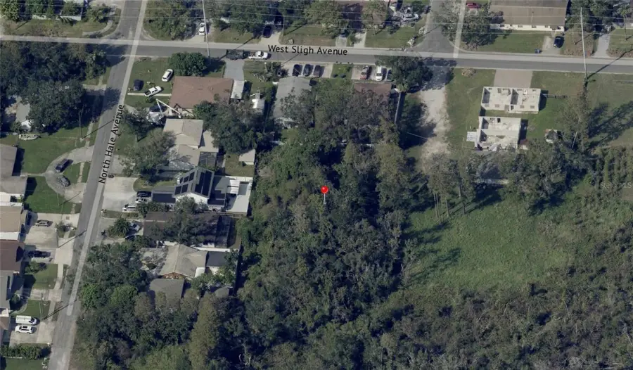 Blossom Avenue, Tampa, FL 33614 - #3