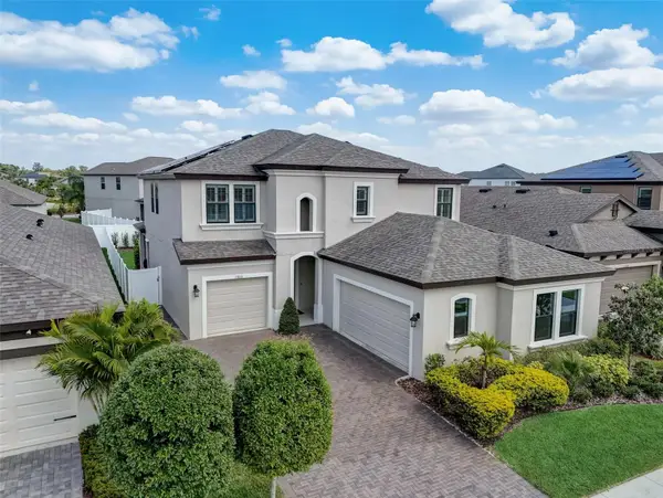 13106 Foxtail Fern Drive, RIVERVIEW, FL 33579