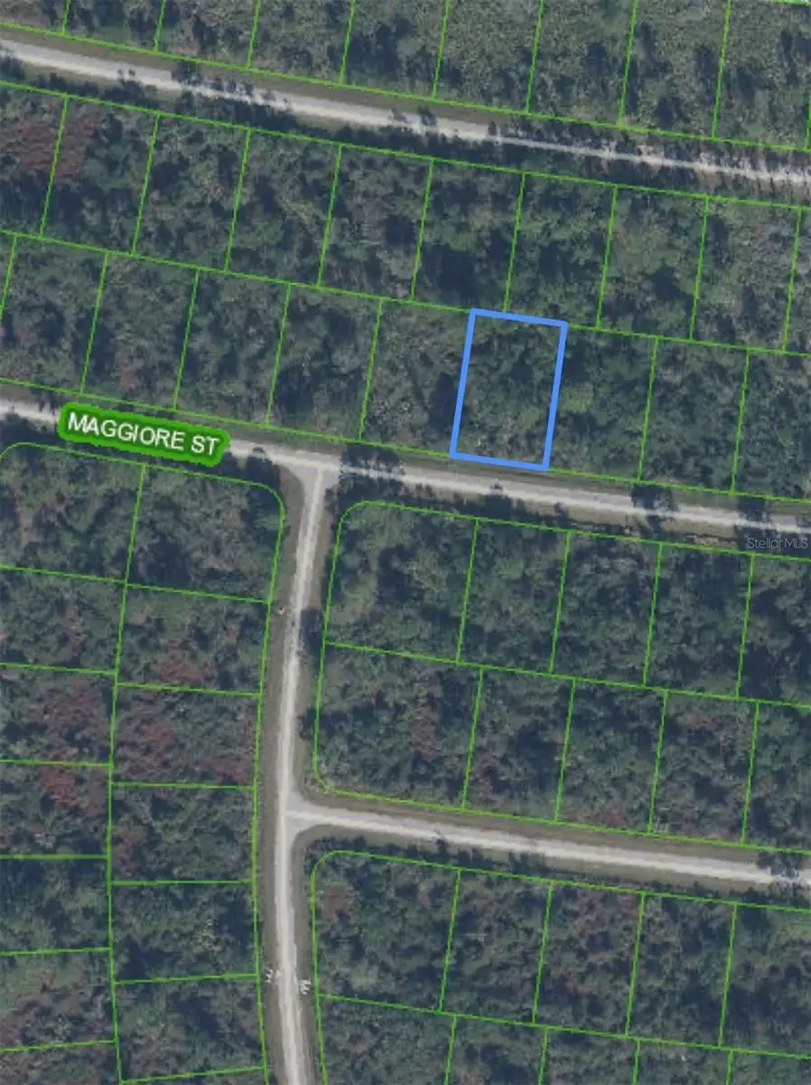 7930 Maggiore Street, Sebring, FL 33872 - #1