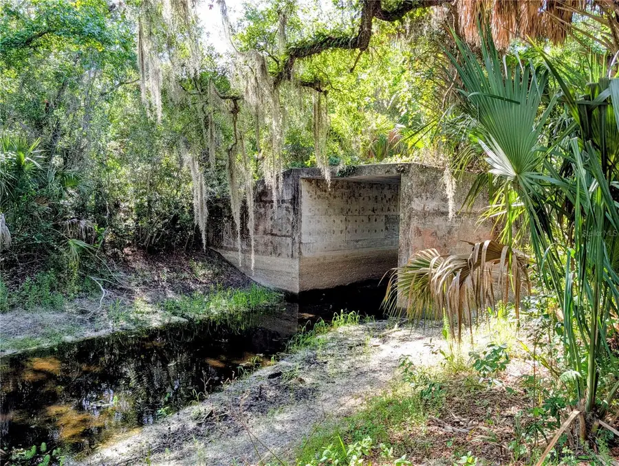 1495 N Toro Drive, Inverness, FL 34453 - #3