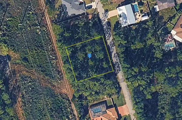 32 Serbian Bellflower Trail, PALM COAST, FL 32164