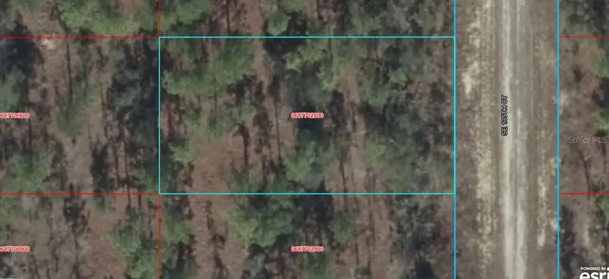 06877-028-00 SE 135th Court, Dunnellon, FL 34431 - #1