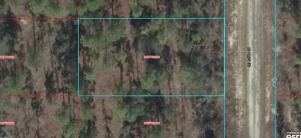 06877-028-00 SE 135th Court, DUNNELLON, FL 34431