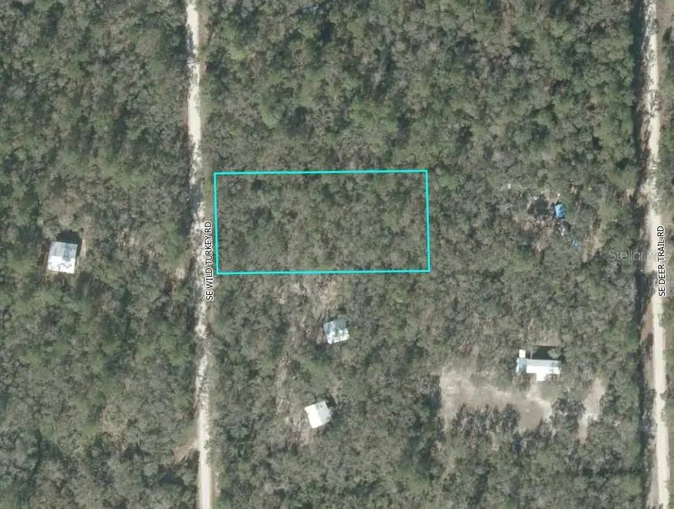 Se Wild Turkey Road, Branford, FL 32008 - #1