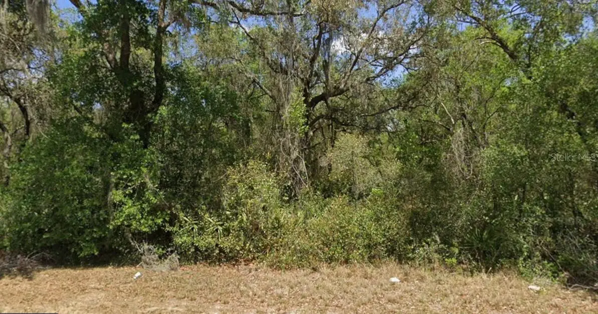 21175 SE 142nd Lane, Umatilla, FL 32784 - #1