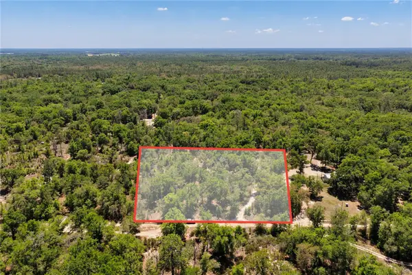 NE 125th Street, BRONSON, FL 32621