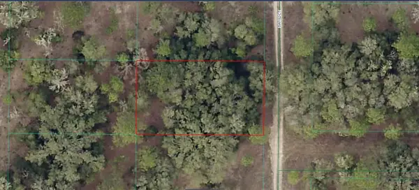 SW 152nd Avenue Lot 19, OCALA, FL 34481