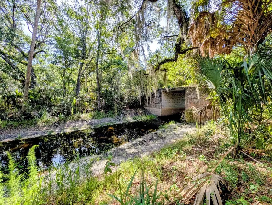 0 N Toro Drive, Inverness, FL 34453 - #2