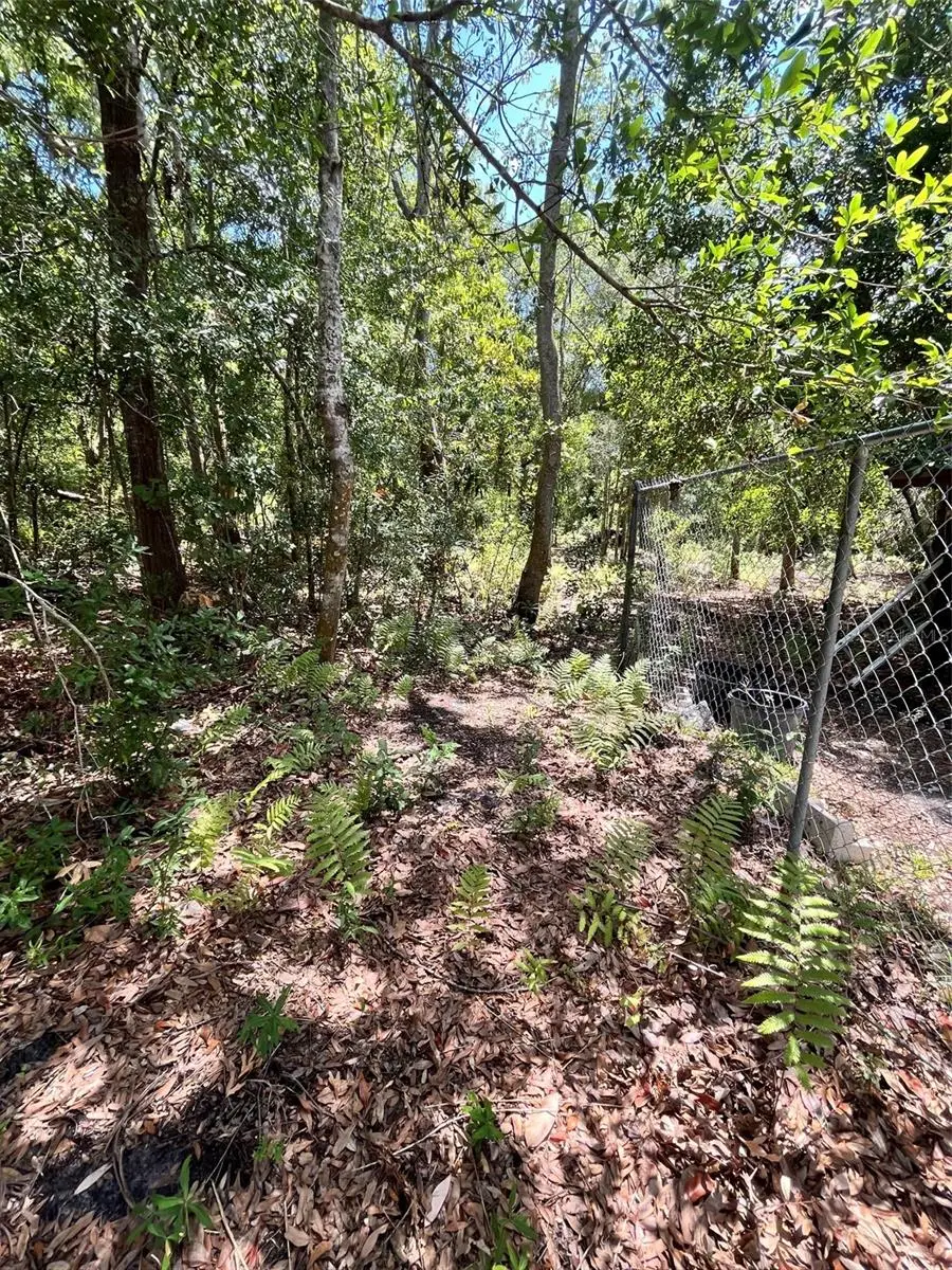 10907 Estates Del Sol Drive, Riverview, FL 33579 - #2