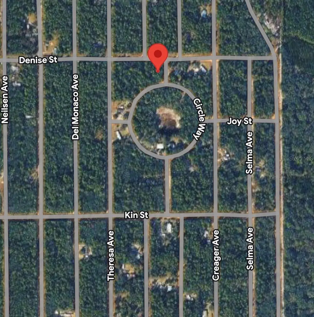 Denise Street, Interlachen, FL 32148 - #1